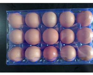 芜湖鸡蛋包装1